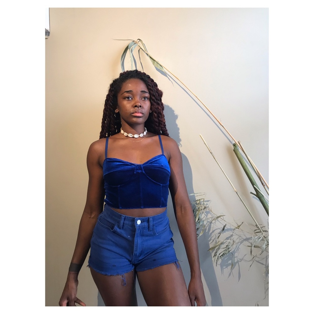 Blue Velvet Crop Top